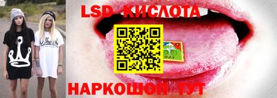 spice Славгород