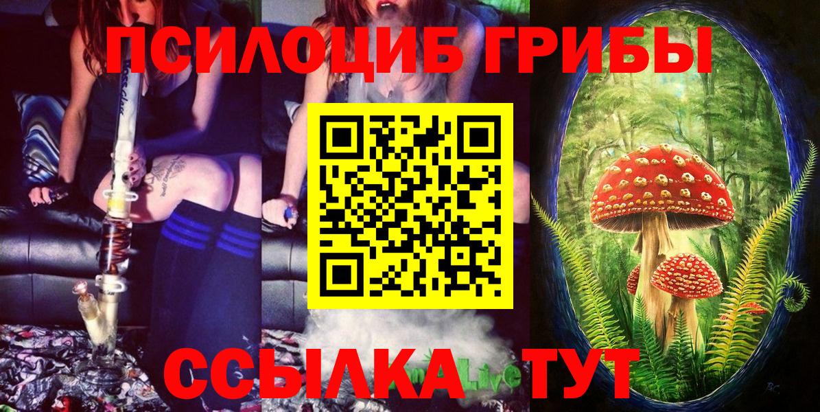 Галлюциногенные грибы Magic Shrooms  Псилоцибиновые грибы GOLDEN TEACHER  что такое   Мелеуз  Вход с VPN 